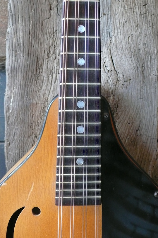Rio Palissander toets 'frets ge'redressed