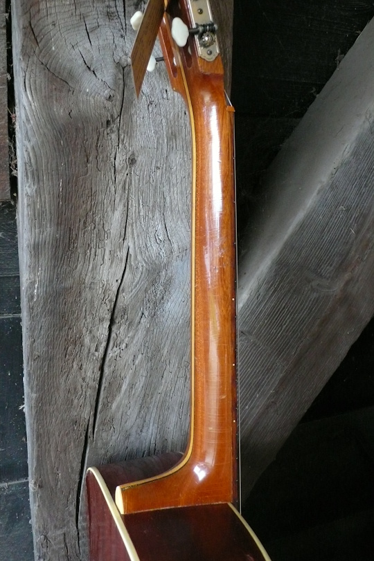 samengestelde Mahonie C/D-profiel hals