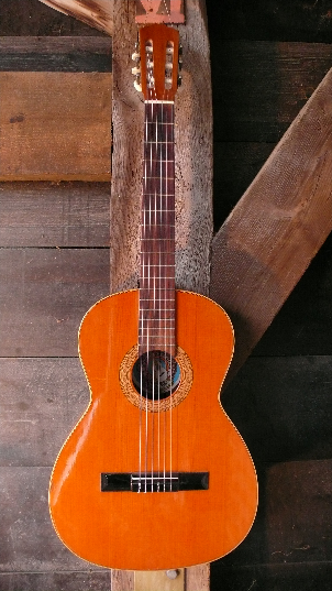 Vivente tatay klassieke gitaar B-108M