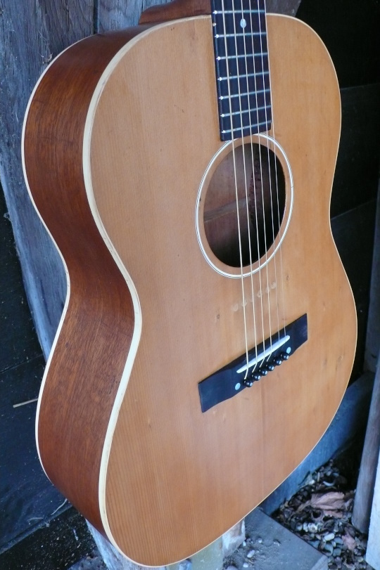 spruce top (red spruce)