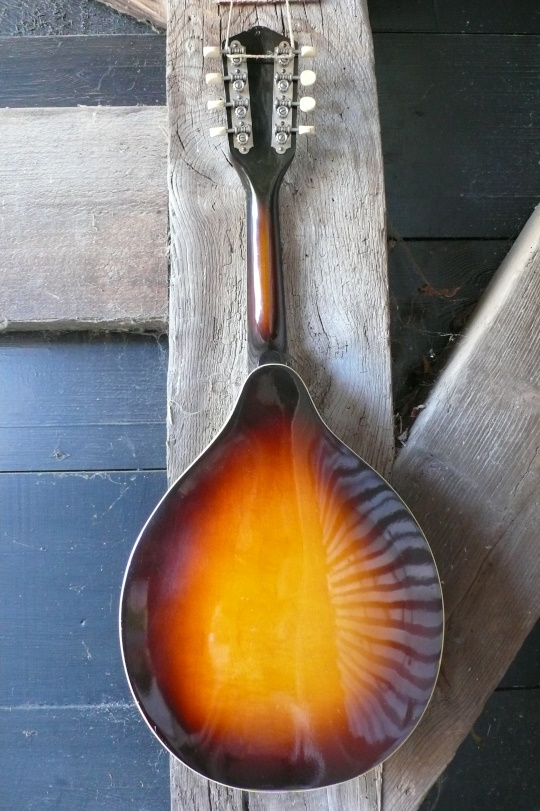 sunburst massieve esdoorn/berken klankkast