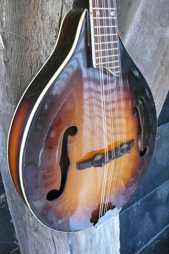 sunburst massieve 'spruce' top
