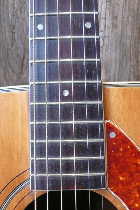 Rio palissander toets, nieuwe frets