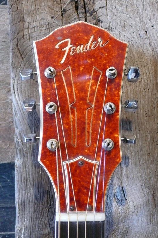 kop met gelamineerd celluloid fender logo
