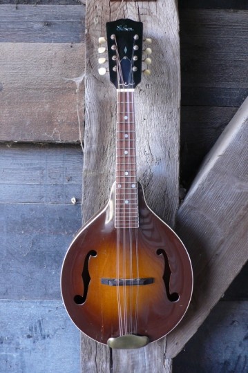 Gibson Mandoline A50