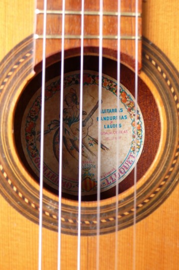 rosette en Label Guillermo Lluquet