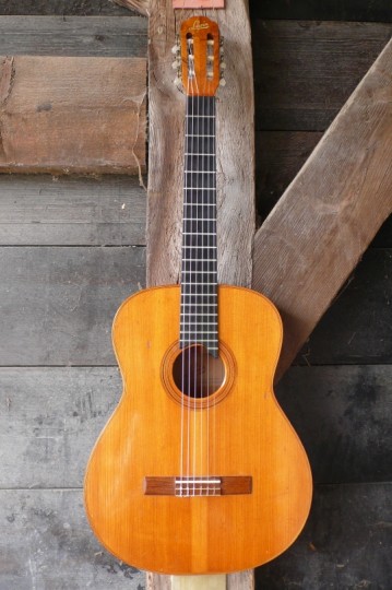 levin model 113 klassieke gitaar