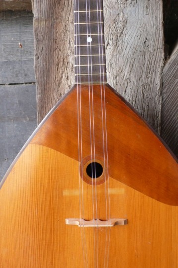 massieve spruce top