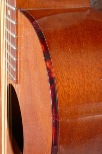 celluloid schildpad binding