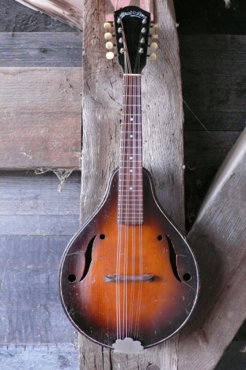 Stradolin A-style mandoline jaren '30