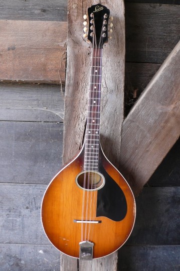 Levin octaaf Mandoline 1950