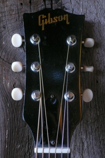 kop met Gibson logo