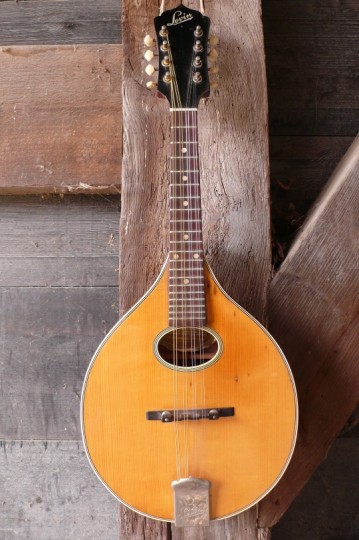Levin flattop mandoline Rosalie