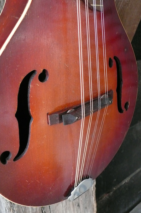 massieve spruce top