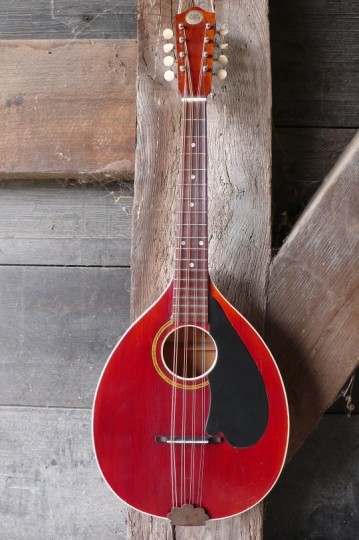 levin flattop mandola 1927 model 475
